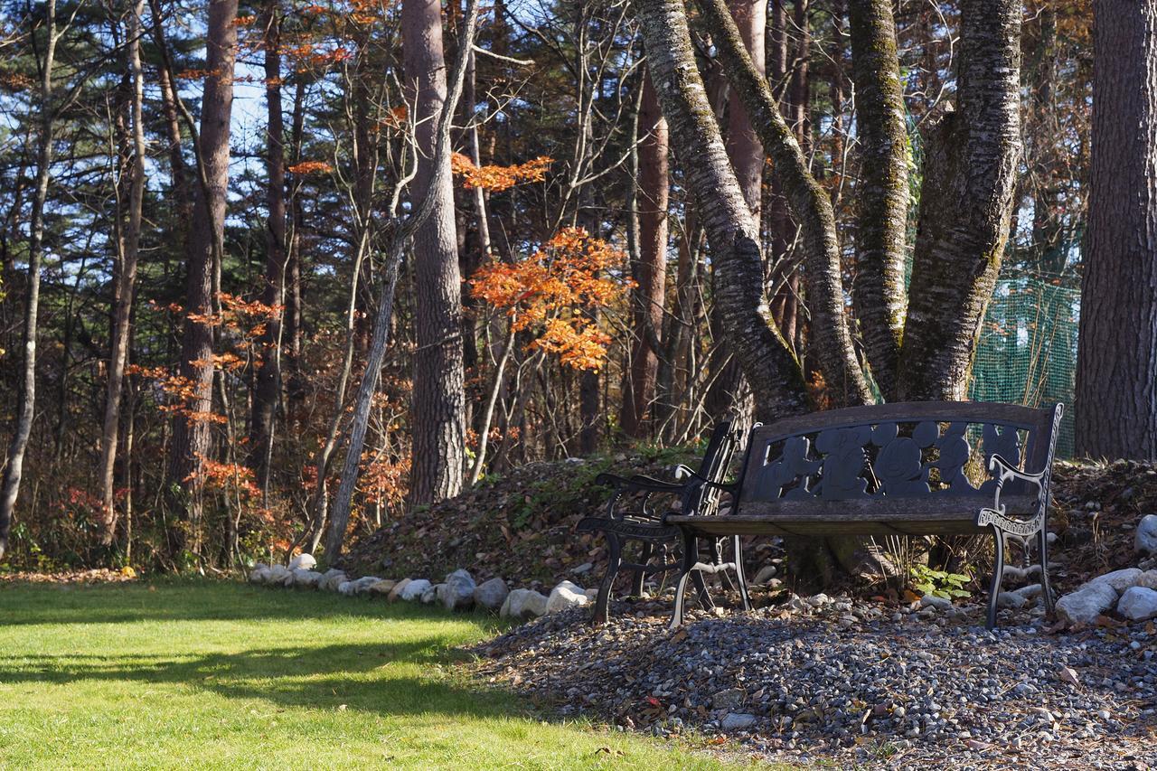 Avanti Chalet Hakuba Bagian luar foto